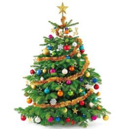 Κάνοντας τη ζωή τόσο του αυτιστικού παιδιού μας όσο και τη δική μας ευκολότερη τις ημέρες των εορτών (video)