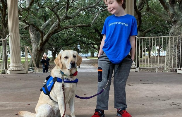 Οφέλη της Ζωοθεραπείας – μία βιβλιογραφική ανασκόπηση: